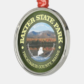 Baxter SP Metalen Ornament (Links)