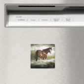 Bay and White Splash Overo Verf Paard Magneet (Insitu (Vaatwasser))