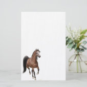 Bay Arabian Horse Stationery Briefpapier (Staand voorkant)