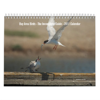Bay Area Birds Calendar 2011 Kalender