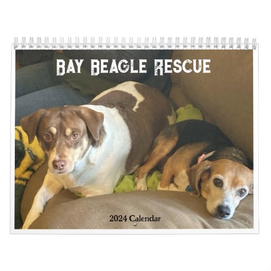 Bay Beagle Rescue kalender 2024 (Hoes)