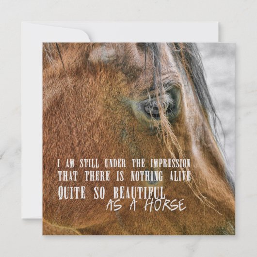 BAY BEAUTÉ 5,25 x 5,25 carte (Devant)