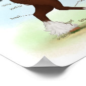 Bay Clydesdale Draft Horse Anatomee Poster (Hoek)