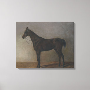 Bay Geleiding Paard (door Albrecht Adam) Canvas Afdruk