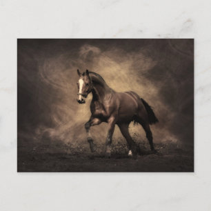 Bay Horse Briefkaart