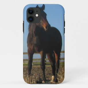 Bay Horse iPhone 11 Hoesje