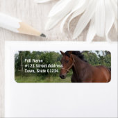 Bay Horse Design Retouradreslabel Etiket (Insitu)
