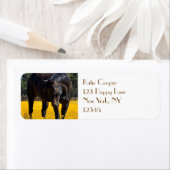 Bay Horse in een Gebied van Gele Bloemen Etiket (Insitu)