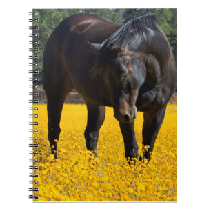 Bay Horse in een Gebied van Gele Bloemen Notitieboek