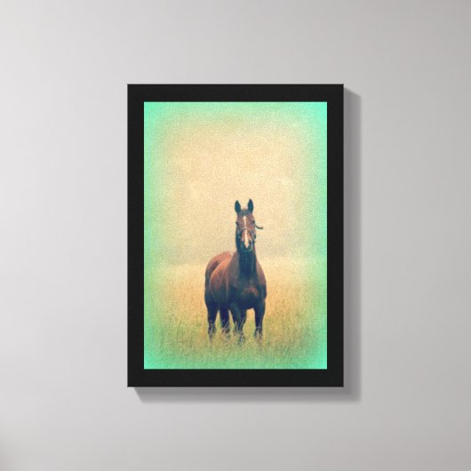 Bay Horse in een veld Canvas Afdruk (Voorkant)