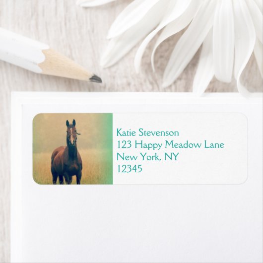 Bay Horse in een veld Etiket (Insitu)