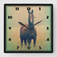 Bay Horse in een veld