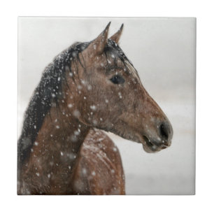 Bay Horse in Gently Falling Snow Tegeltje