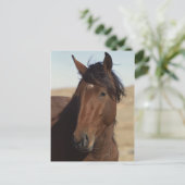 Bay Horse in Wind Briefkaart (Staand voorkant)