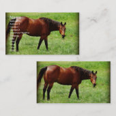 Bay Horse Visitekaartje (Voorkant / Achterkant)