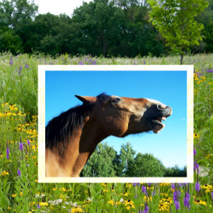 Bay Horse Whinningin the Air Briefkaart