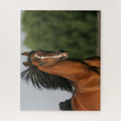 Bay Morgan Horse Headshot Flows Mane Legpuzzel (Verticaal)