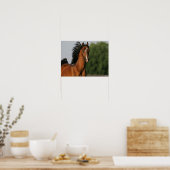 Bay Morgan Horse Headshot Flows Mane Poster (Keuken)