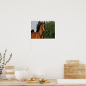 Bay Morgan Horse Headshot Mane Flows Poster (Keuken)