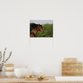 Bay Morgan Horse Headshot Mane Flows Poster (Keuken)