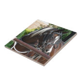 Bay Pinto Amish Buggy Horse Tegeltje (Zijkant)