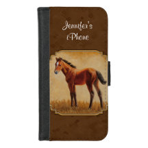Bay Quarter Paard Veulen Bruin