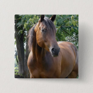 Bay Thoroughbred Horse Square Pin Vierkante Button 5,1 Cm
