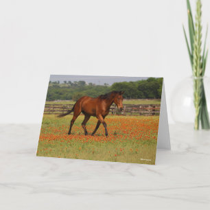 Bay Thoroughbred Horse Walking Flowers Kaart