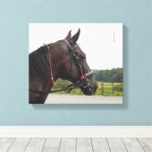 Bay Walker Mare Canvas Afdruk (Insitu (Houten vloer))