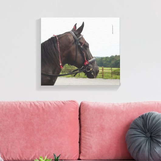 Bay Walker Mare Canvas Afdruk (Insitu (Woonkamer))