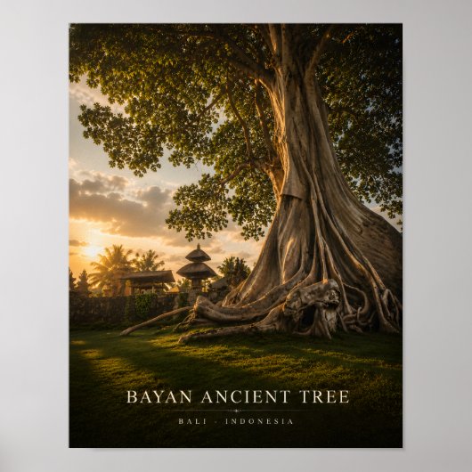 Bayan Oude Boom Bali Poster (Voorkant)