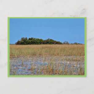 Bayhead in het gras briefkaart