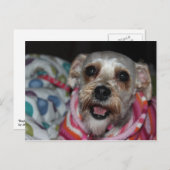 "Bayleigh" Dog Briefkaart (Voorkant / Achterkant)