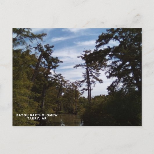 Bayou Batholomew, Tarry, AR Briefkaart (Voorkant)