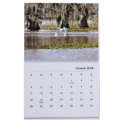 Bayou Life 2024 Kalender (Jan 2026)