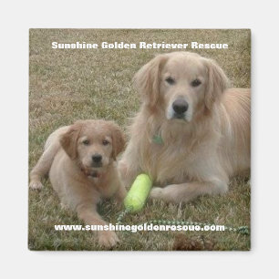 Bayou Magnet - Sunshine Golden Retriever Rescue... Magneet
