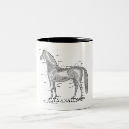 Bays-anatomische mok (Center)