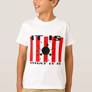 Bazinga Gifts T-shirt