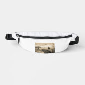 baznersheehye (Recto)