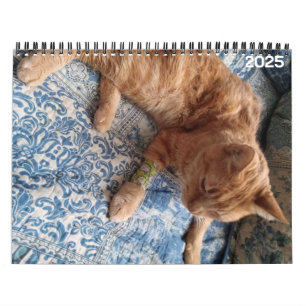 Bazz 12 Mois 2025 Calendrier personnalisé