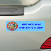 BB Bumpersticker 2011 (Op auto)