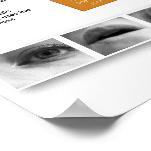 BBF Descriptif Structure de l'essai poster en clas (Coin)