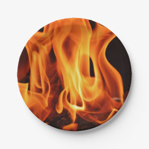 BBQ Grill Fire Flames Papieren Bordje