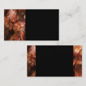 BBQ-pork Visitekaartje (Voorkant / Achterkant)