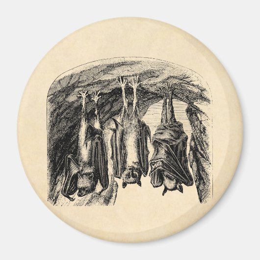 BBT 1800 vliegende biet Magneet (Voorkant)