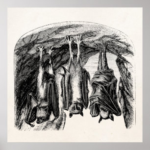 BBT 1800 vliegende biet Poster