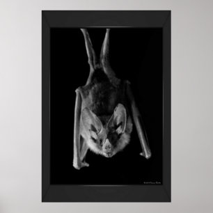 BBT afdrukken Poster