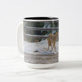 BC Coyote Wildlife Nature Coffee Mug (Devant gauche)