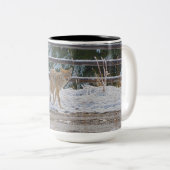 BC Coyote Wildlife Nature Coffee Mug (Devant droit)