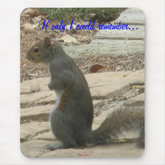 BC-eekhoorn Mousepad Muismat (Voorkant)